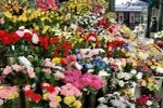 Genova, Cimitero di Staglieno :: Panoramica
